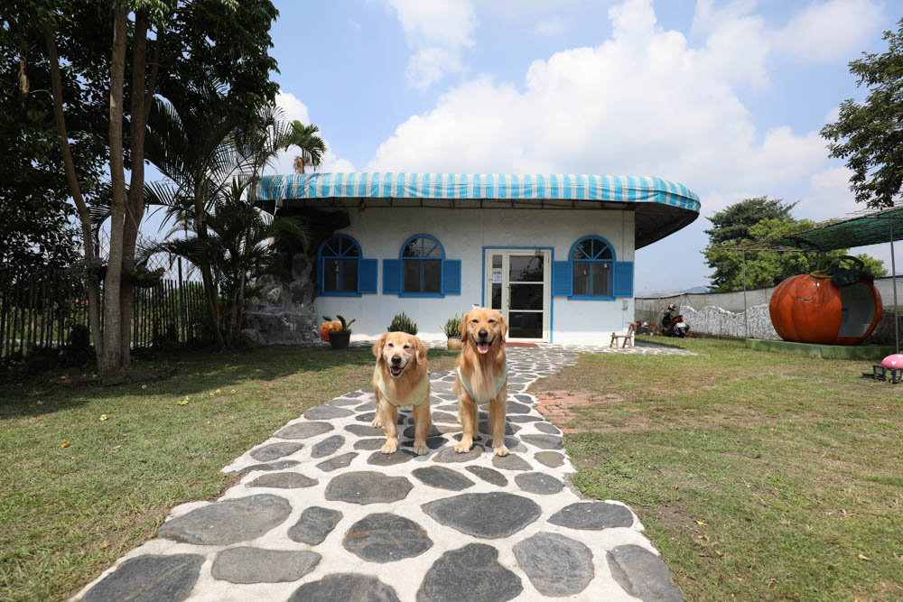 南投埔里美食|可妮小屋。地中海希臘聖托里尼風情景觀餐廳、寵物友善、義式簡餐料理 - 第5張圖 南投埔里美食|可妮小屋。地中海希臘聖托里尼風情景觀餐廳、寵物友善、義式簡餐料理