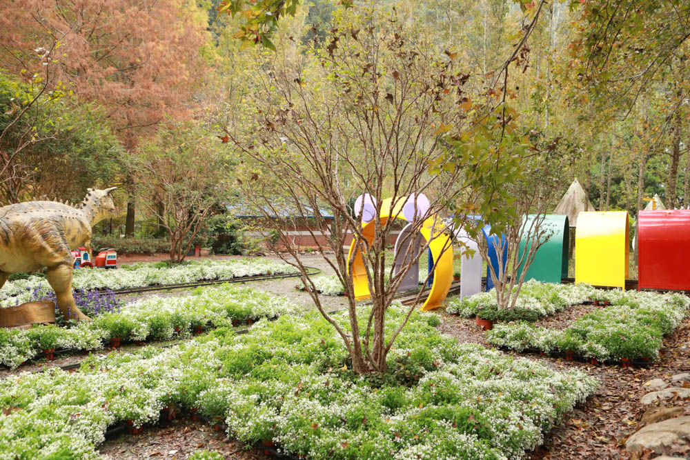 南投埔里景點|台一生態休閒農場(楓樺台一渡假村)。南投寵物友善景點、夢幻童話森林城堡、南投花卉嘉年華 - 第17張圖 南投埔里景點|台一生態休閒農場(楓樺台一渡假村)。南投寵物友善景點、夢幻童話森林城堡、南投花卉嘉年華