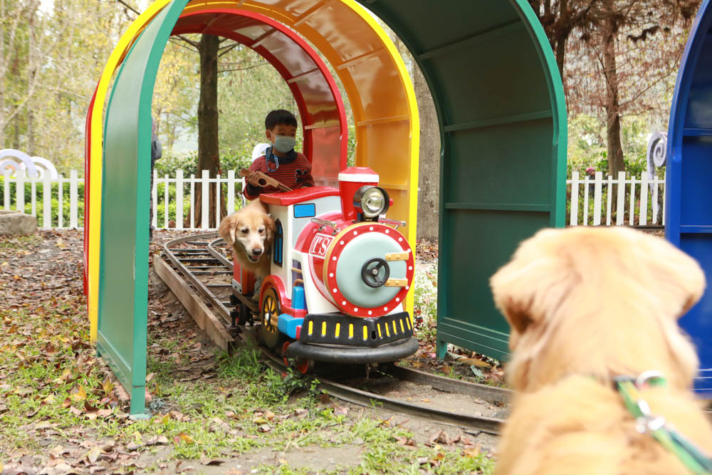 南投埔里景點|台一生態休閒農場(楓樺台一渡假村)。南投寵物友善景點、夢幻童話森林城堡、南投花卉嘉年華 - 第23張圖 南投埔里景點|台一生態休閒農場(楓樺台一渡假村)。南投寵物友善景點、夢幻童話森林城堡、南投花卉嘉年華
