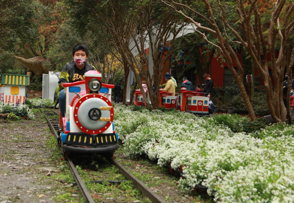 南投埔里景點|台一生態休閒農場(楓樺台一渡假村)。南投寵物友善景點、夢幻童話森林城堡、南投花卉嘉年華 - 第24張圖 南投埔里景點|台一生態休閒農場(楓樺台一渡假村)。南投寵物友善景點、夢幻童話森林城堡、南投花卉嘉年華