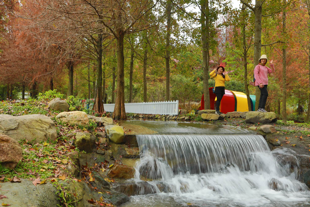 南投埔里景點|台一生態休閒農場(楓樺台一渡假村)。南投寵物友善景點、夢幻童話森林城堡、南投花卉嘉年華 - 第26張圖 南投埔里景點|台一生態休閒農場(楓樺台一渡假村)。南投寵物友善景點、夢幻童話森林城堡、南投花卉嘉年華