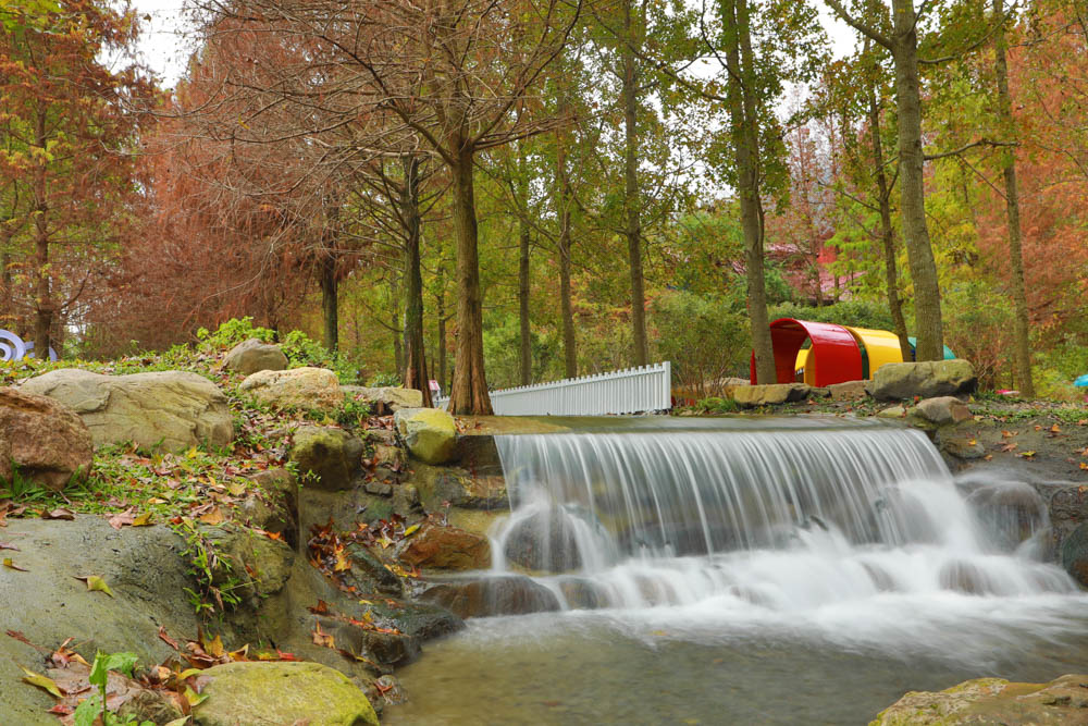 南投埔里景點|台一生態休閒農場(楓樺台一渡假村)。南投寵物友善景點、夢幻童話森林城堡、南投花卉嘉年華 - 第28張圖 南投埔里景點|台一生態休閒農場(楓樺台一渡假村)。南投寵物友善景點、夢幻童話森林城堡、南投花卉嘉年華
