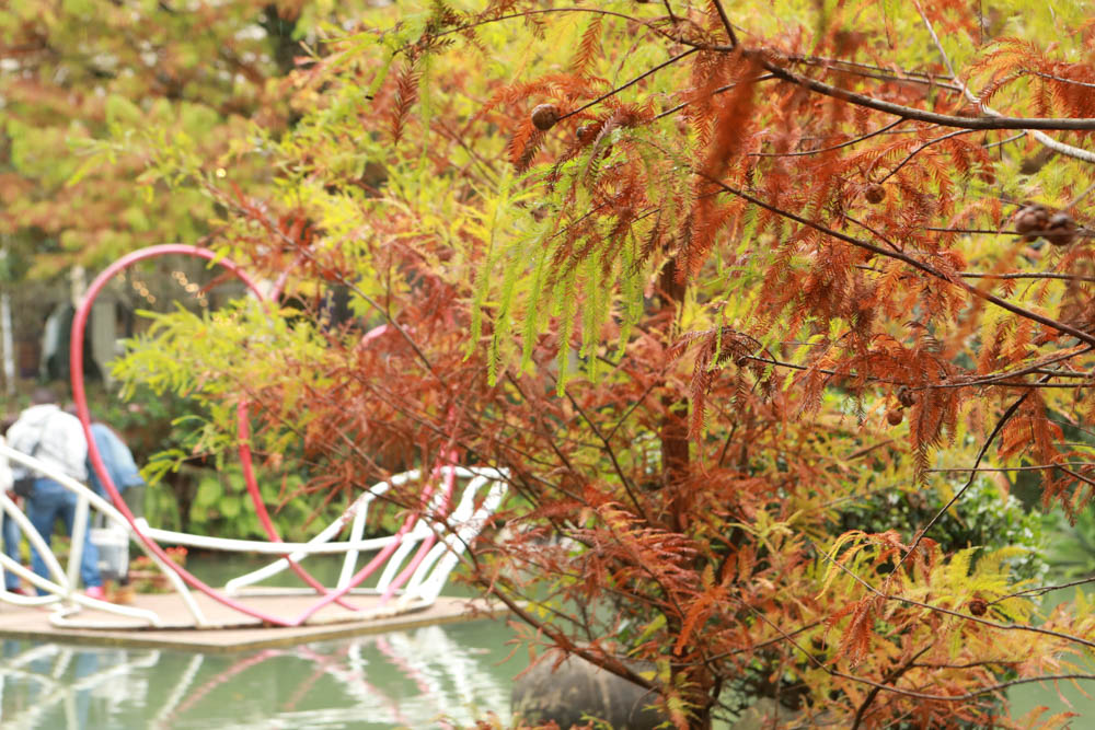 南投埔里景點|台一生態休閒農場(楓樺台一渡假村)。南投寵物友善景點、夢幻童話森林城堡、南投花卉嘉年華 - 第5張圖 南投埔里景點|台一生態休閒農場(楓樺台一渡假村)。南投寵物友善景點、夢幻童話森林城堡、南投花卉嘉年華