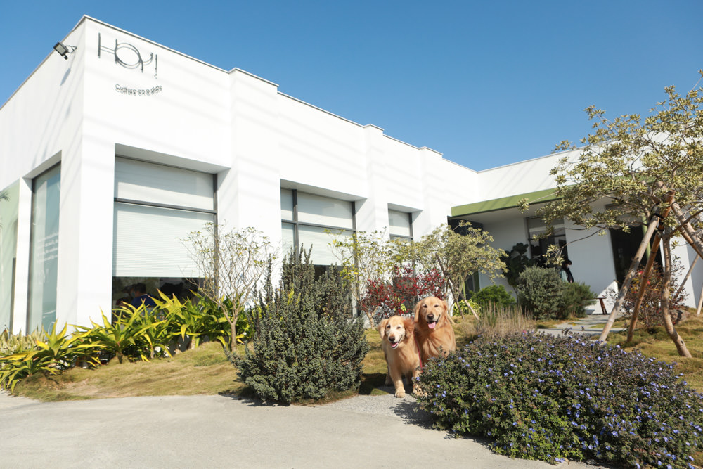 台中后里美食｜HOY Cafe。寵物友善餐廳、后里最美早午餐、后里景觀餐廳、鄰近麗寶Outlet Mall