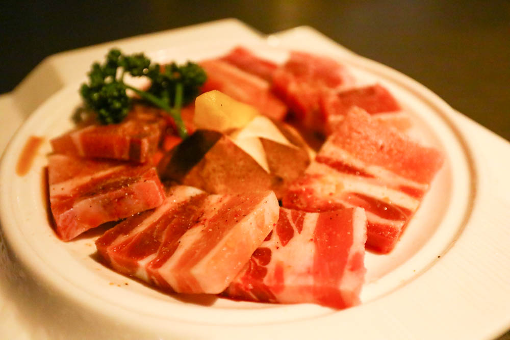 台中美食｜NikuNiku肉肉燒肉朝馬店、免費狗狗肉肉餐、寵物友善餐廳、套餐單點