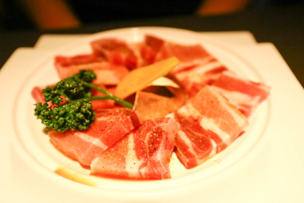台中美食｜NikuNiku肉肉燒肉朝馬店、免費狗狗肉肉餐、寵物友善餐廳、套餐單點