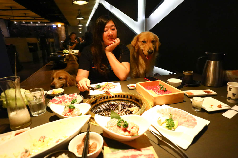 台中美食｜NikuNiku肉肉燒肉朝馬店、免費狗狗肉肉餐、寵物友善餐廳、套餐單點