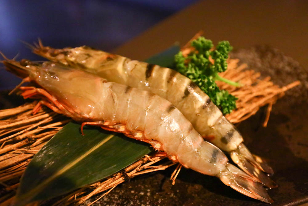 台中美食｜NikuNiku肉肉燒肉朝馬店、免費狗狗肉肉餐、寵物友善餐廳、套餐單點