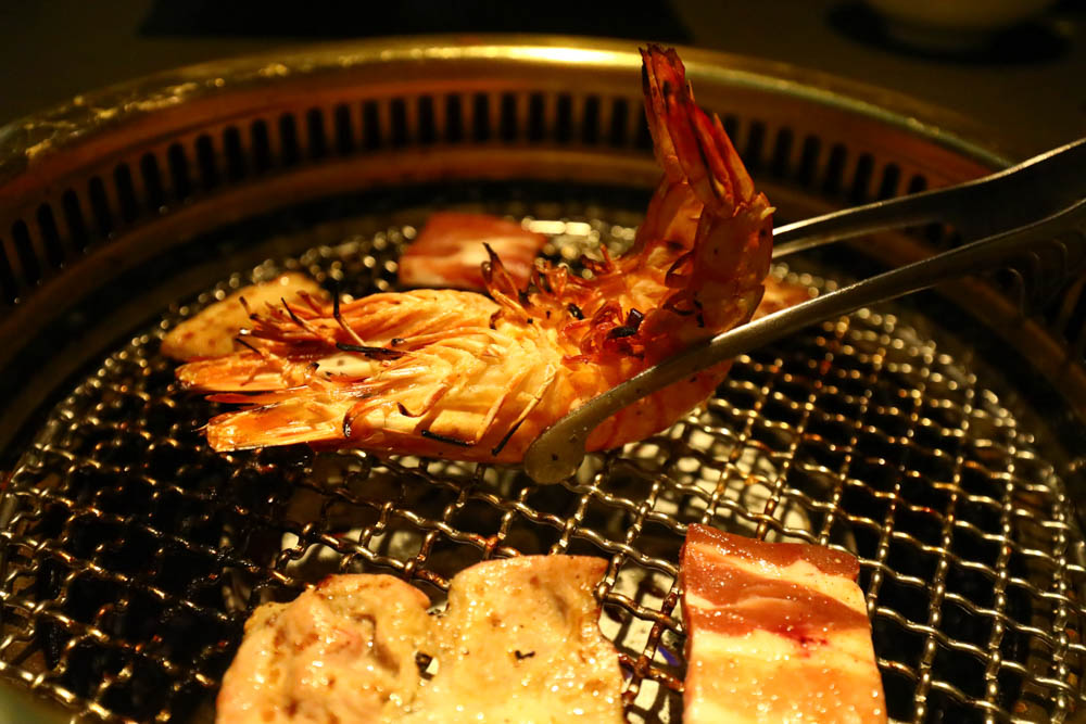 台中美食｜NikuNiku肉肉燒肉朝馬店、免費狗狗肉肉餐、寵物友善餐廳、套餐單點