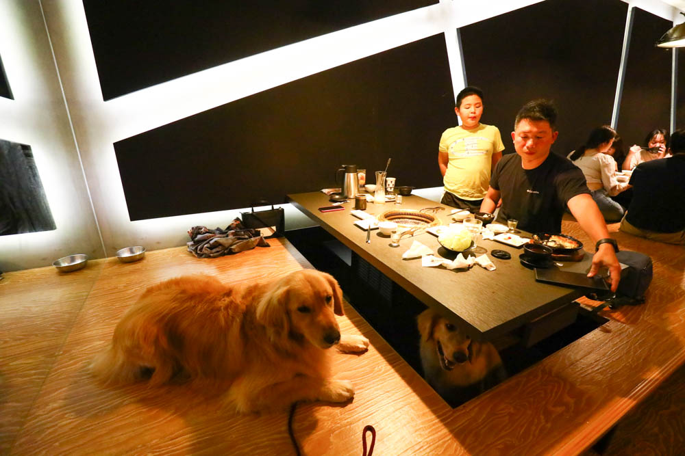 台中美食｜NikuNiku肉肉燒肉朝馬店、免費狗狗肉肉餐、寵物友善餐廳、套餐單點
