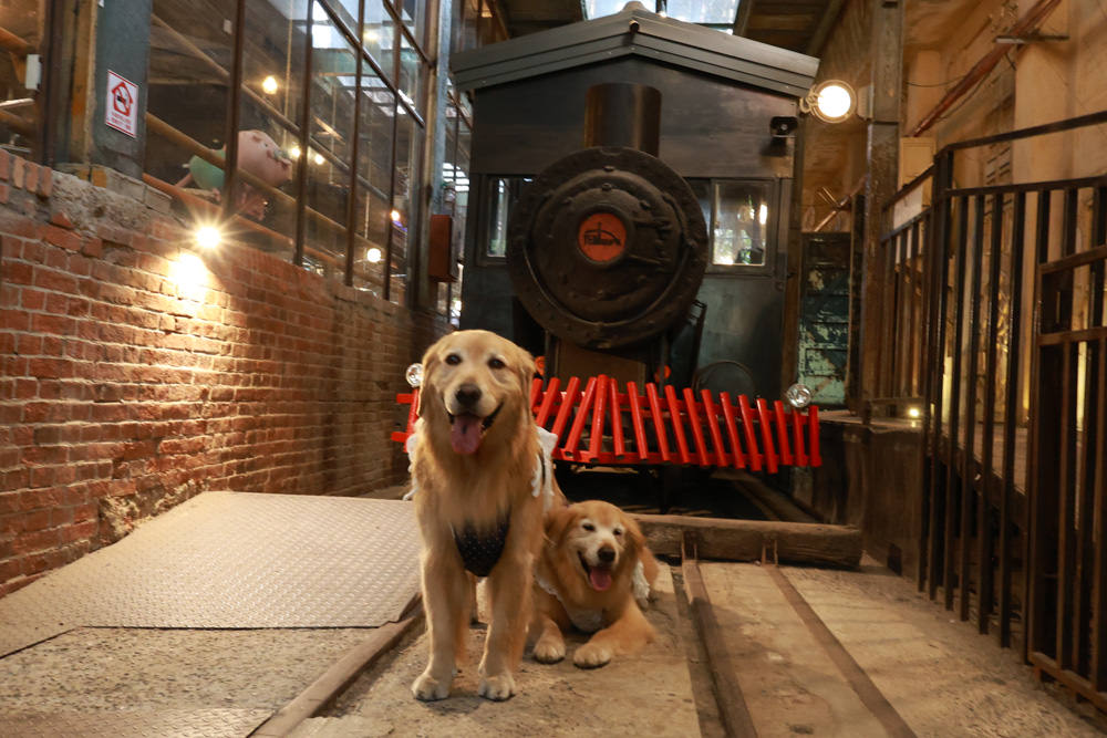 台南仁德景點｜十鼓文創園區。充滿藝術氛圍的遊樂園、哈利波特霍格華茲場景、寵物友善景點