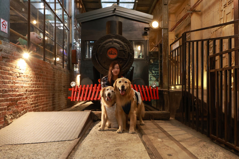 台南仁德景點｜十鼓文創園區。充滿藝術氛圍的遊樂園、哈利波特霍格華茲場景、寵物友善景點