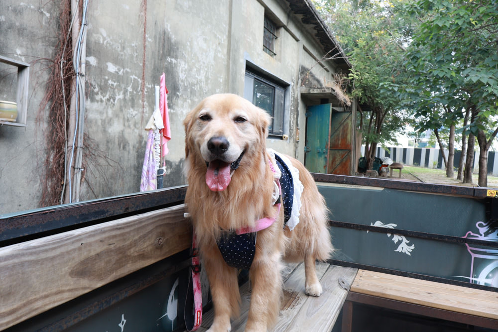 台南仁德景點｜十鼓文創園區。充滿藝術氛圍的遊樂園、哈利波特霍格華茲場景、寵物友善景點