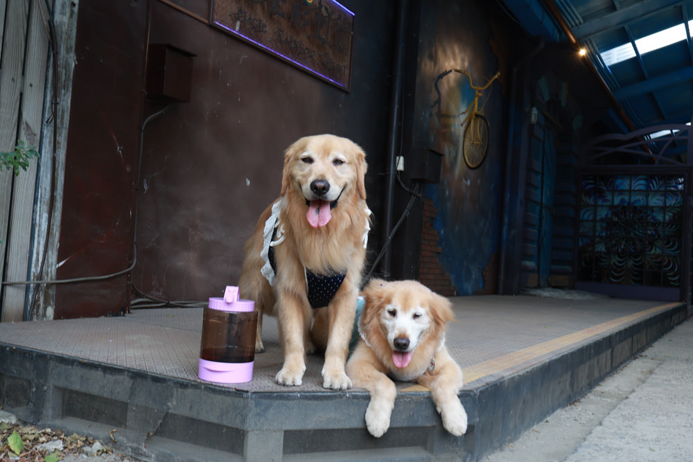 台南仁德景點｜十鼓文創園區。充滿藝術氛圍的遊樂園、哈利波特霍格華茲場景、寵物友善景點