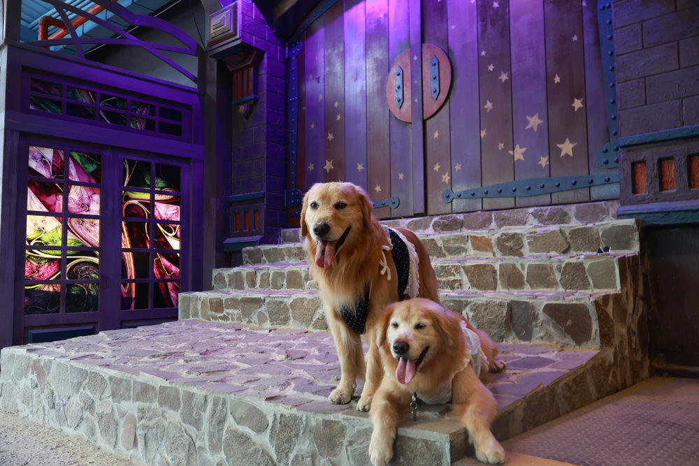 台南仁德景點｜十鼓文創園區。充滿藝術氛圍的遊樂園、哈利波特霍格華茲場景、寵物友善景點