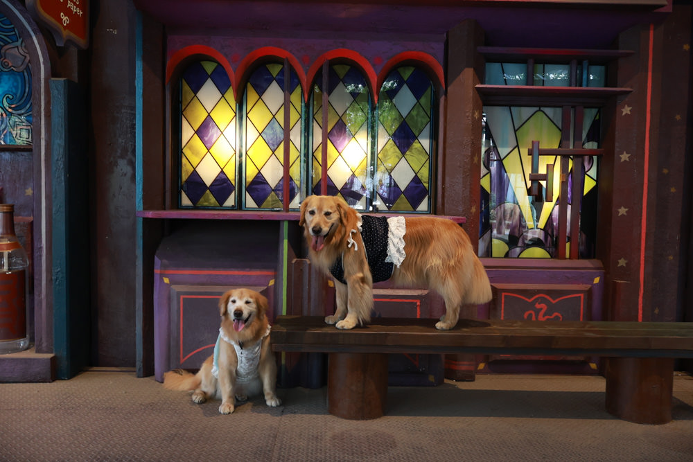 台南仁德景點｜十鼓文創園區。充滿藝術氛圍的遊樂園、哈利波特霍格華茲場景、寵物友善景點