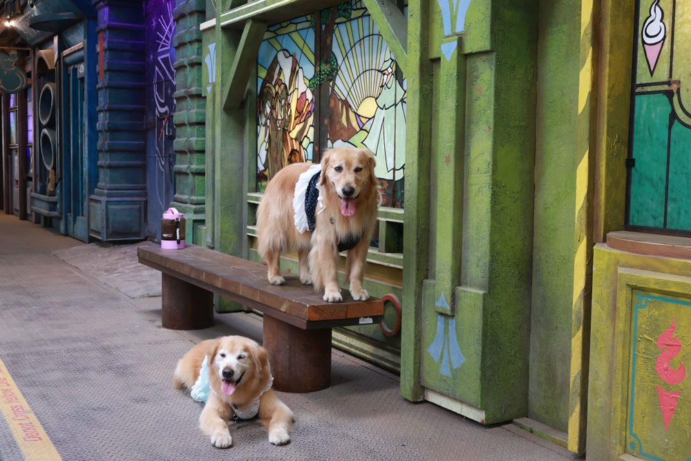 台南仁德景點｜十鼓文創園區。充滿藝術氛圍的遊樂園、哈利波特霍格華茲場景、寵物友善景點