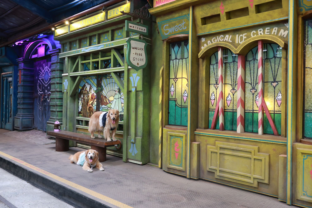 台南仁德景點｜十鼓文創園區。充滿藝術氛圍的遊樂園、哈利波特霍格華茲場景、寵物友善景點