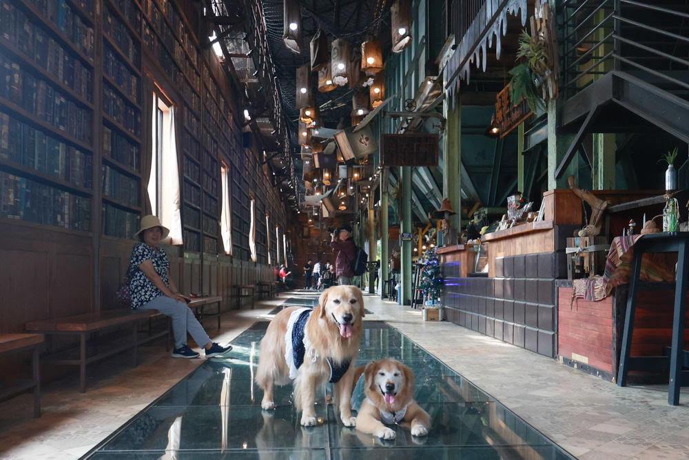 台南仁德景點｜十鼓文創園區。充滿藝術氛圍的遊樂園、哈利波特霍格華茲場景、寵物友善景點