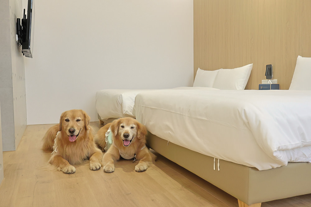 台南安平民宿。衡定理包棟電梯民宿 澤居。寵物友善民宿、全新裝潢新開幕、臨近安平老街、觀系平台！！