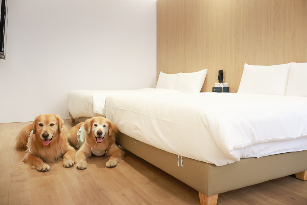 台南安平民宿。衡定理包棟電梯民宿 澤居。寵物友善民宿、全新裝潢新開幕、臨近安平老街、觀系平台！！