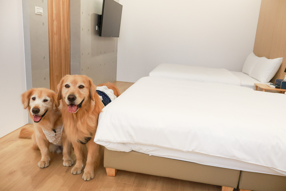 台南安平民宿。衡定理包棟電梯民宿 澤居。寵物友善民宿、全新裝潢新開幕、臨近安平老街、觀系平台！！