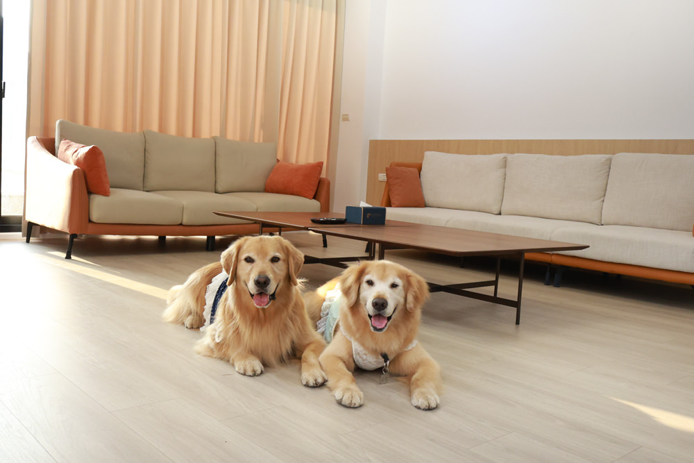 台南安平民宿。衡定理包棟電梯民宿 澤居。寵物友善民宿、全新裝潢新開幕、臨近安平老街、觀系平台！！