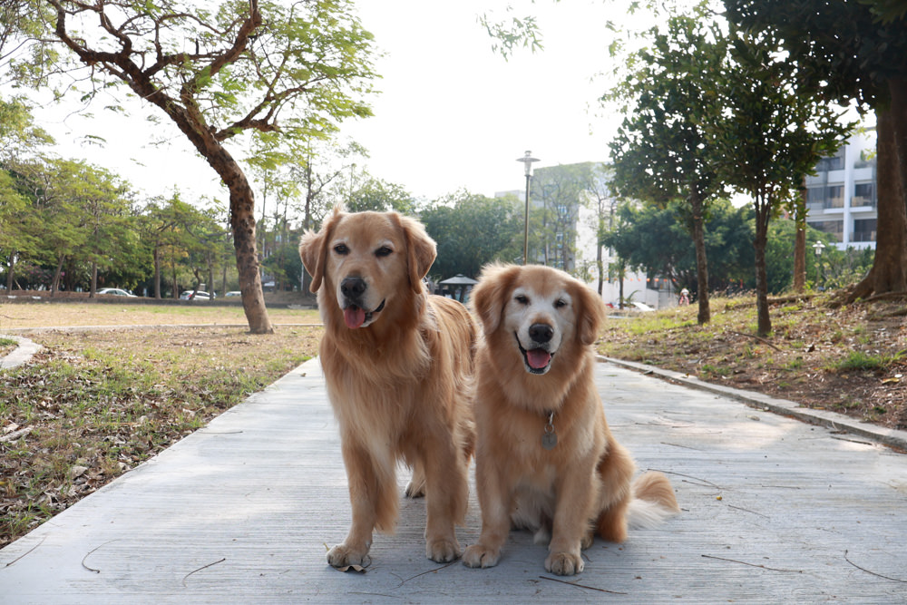 台南安平民宿。衡定理包棟電梯民宿 澤居。寵物友善民宿、全新裝潢新開幕、臨近安平老街、觀系平台！！