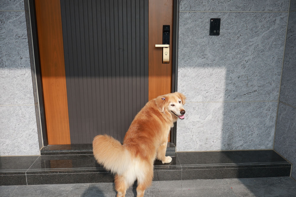 台南安平民宿。衡定理包棟電梯民宿 澤居。寵物友善民宿、全新裝潢新開幕、臨近安平老街、觀系平台！！