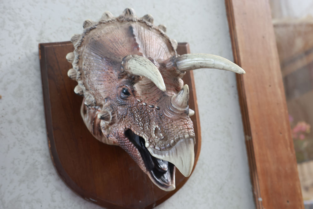 台南中西區美食｜龍百貨。寵物友善餐廳、巷弄內的老宅大份量早午餐、懷舊恐龍主題、龍烙印漢堡