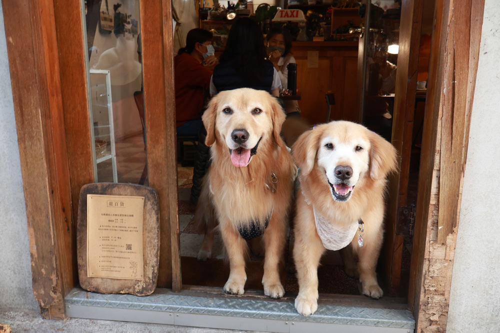 台南中西區美食｜龍百貨。寵物友善餐廳、巷弄內的老宅大份量早午餐、懷舊恐龍主題、龍烙印漢堡