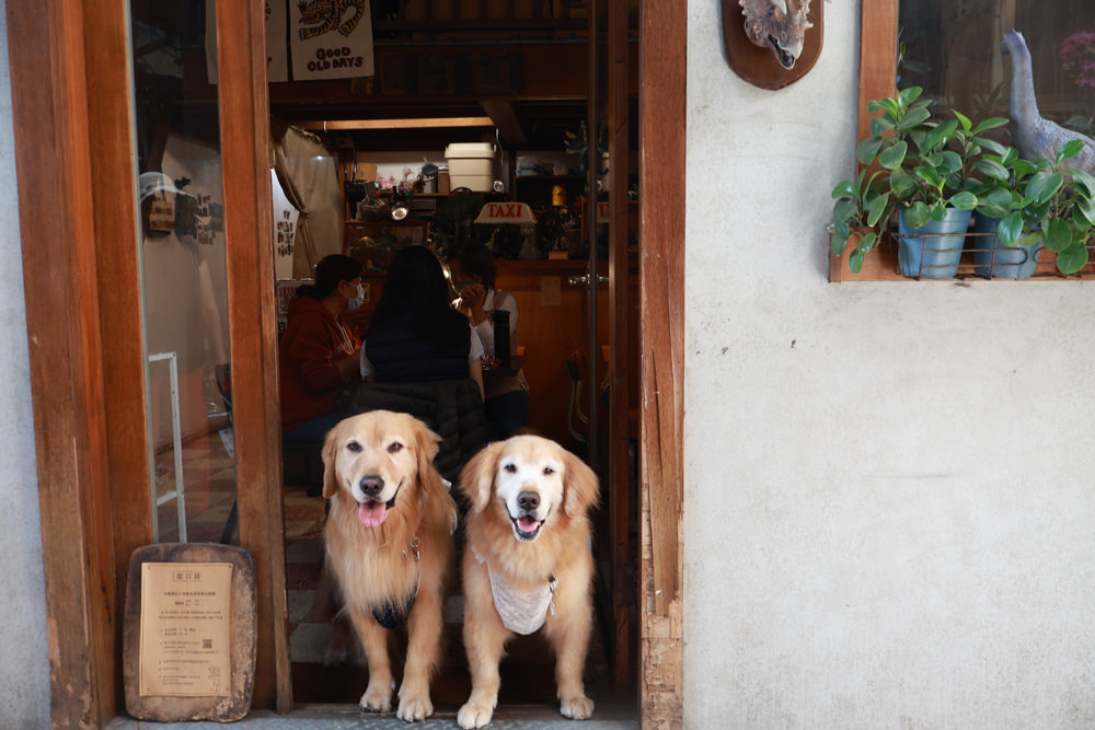 台南中西區美食｜龍百貨。寵物友善餐廳、巷弄內的老宅大份量早午餐、懷舊恐龍主題、龍烙印漢堡