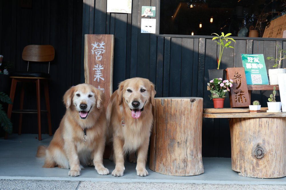 台南安平美食|參莯咖啡sunmoon-coffee。寵物友善餐廳、手沖咖啡、千層蛋糕、水果塔 - 第1張圖 台南安平美食|參莯咖啡sunmoon-coffee。寵物友善餐廳、手沖咖啡、千層蛋糕、水果塔