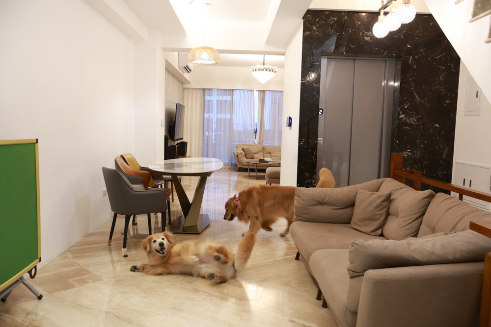 衡定理台南安平包棟民宿 定言豪宅館｜寵物友善民宿、氣派豪華裝潢、日式榻榻米檜木浴池家庭套房