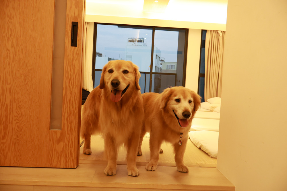 衡定理台南安平包棟民宿 定言豪宅館｜寵物友善民宿、氣派豪華裝潢、日式榻榻米檜木浴池家庭套房