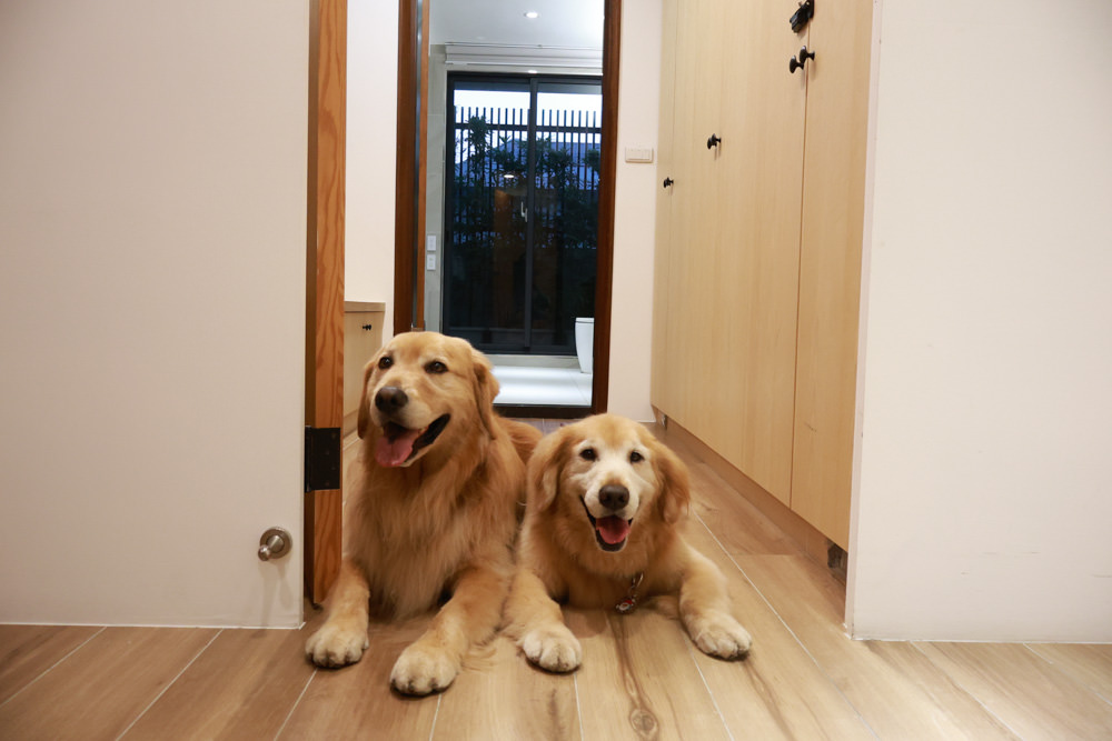 衡定理台南安平包棟民宿 定言豪宅館｜寵物友善民宿、氣派豪華裝潢、日式榻榻米檜木浴池家庭套房