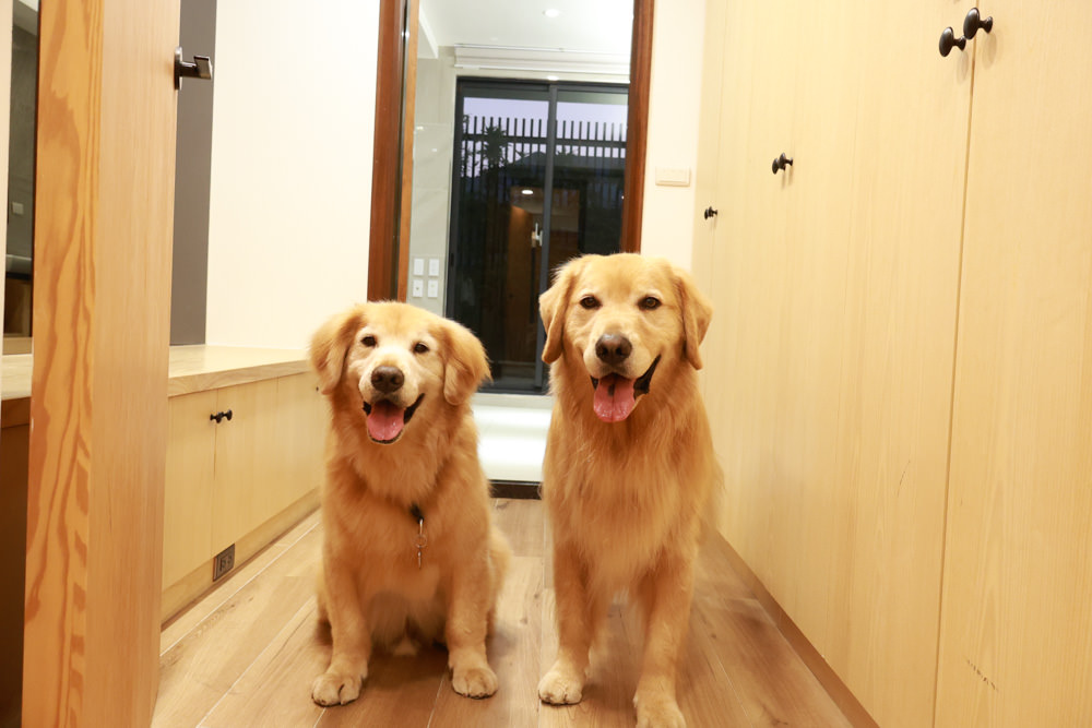 衡定理台南安平包棟民宿 定言豪宅館｜寵物友善民宿、氣派豪華裝潢、日式榻榻米檜木浴池家庭套房