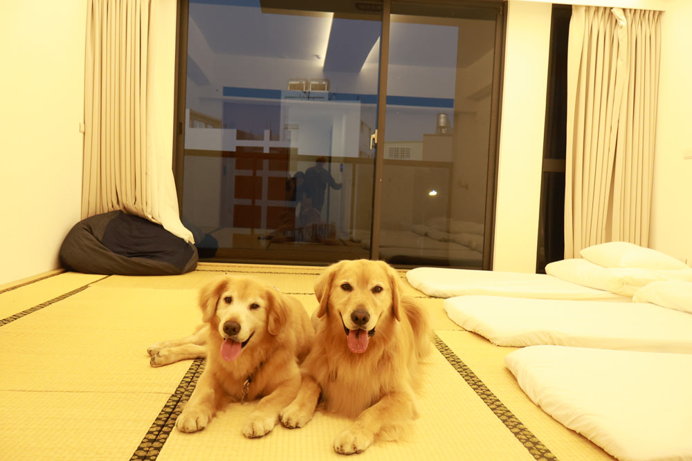 衡定理台南安平包棟民宿 定言豪宅館｜寵物友善民宿、氣派豪華裝潢、日式榻榻米檜木浴池家庭套房