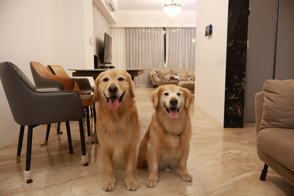 衡定理台南安平包棟民宿 定言豪宅館｜寵物友善民宿、氣派豪華裝潢、日式榻榻米檜木浴池家庭套房