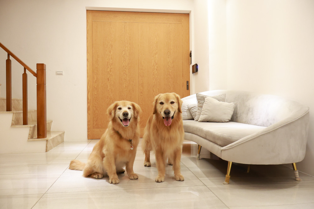 衡定理台南安平包棟民宿 定言豪宅館｜寵物友善民宿、氣派豪華裝潢、日式榻榻米檜木浴池家庭套房