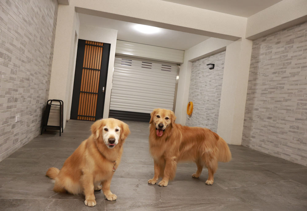 衡定理台南安平包棟民宿 定言豪宅館｜寵物友善民宿、氣派豪華裝潢、日式榻榻米檜木浴池家庭套房