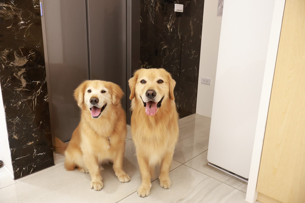 衡定理台南安平包棟民宿 定言豪宅館｜寵物友善民宿、氣派豪華裝潢、日式榻榻米檜木浴池家庭套房