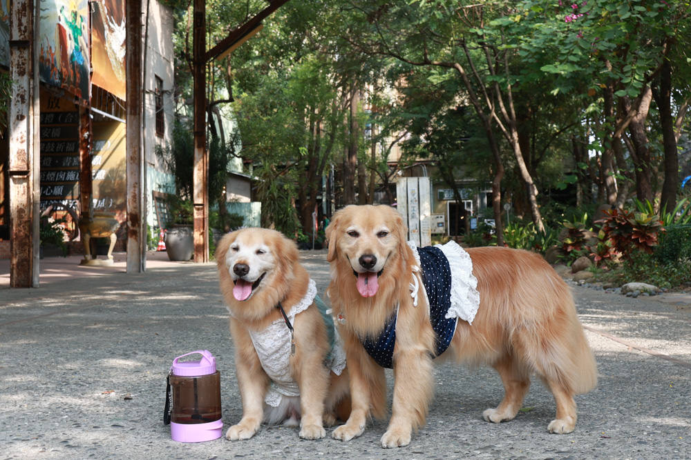 台南仁德景點｜十鼓文創園區。充滿藝術氛圍的遊樂園、哈利波特霍格華茲場景、寵物友善景點