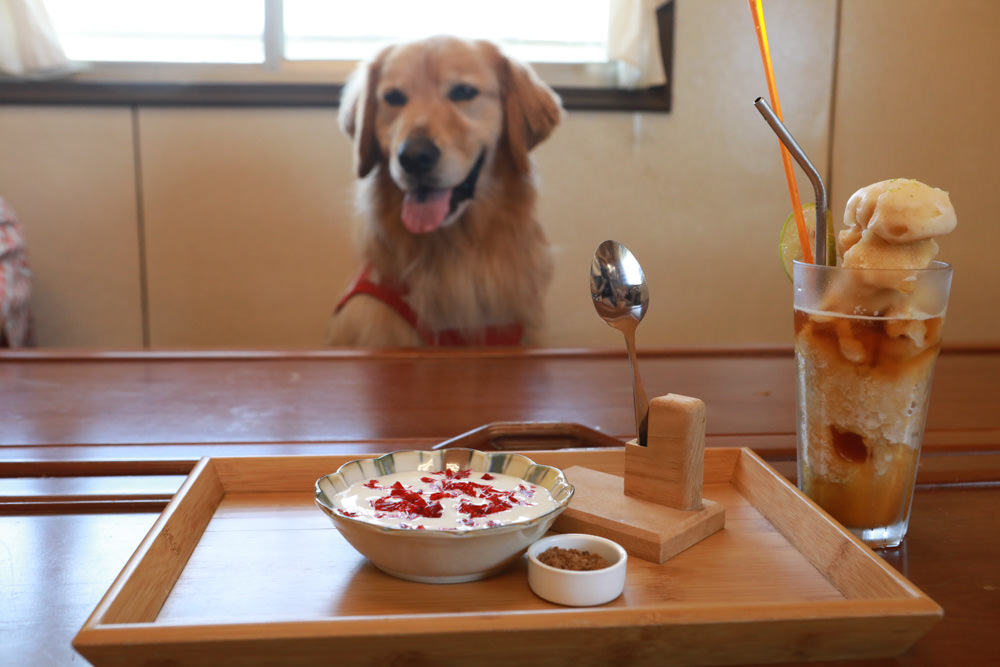 台東長濱｜嘎嘎烏賴賴。寵物友善餐廳、海景咖啡廳、烏石鼻沙灘前的藍白療癒系海邊小屋 ！！！