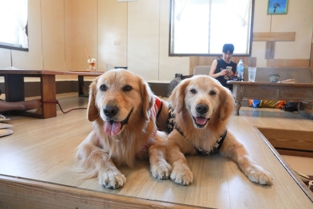 台東長濱｜嘎嘎烏賴賴。寵物友善餐廳、海景咖啡廳、烏石鼻沙灘前的藍白療癒系海邊小屋 ！！！