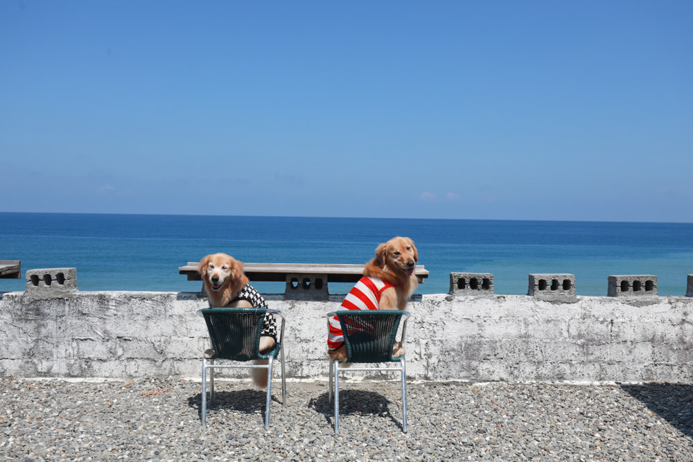 台東長濱｜嘎嘎烏賴賴。寵物友善餐廳、海景咖啡廳、烏石鼻沙灘前的藍白療癒系海邊小屋 ！！！