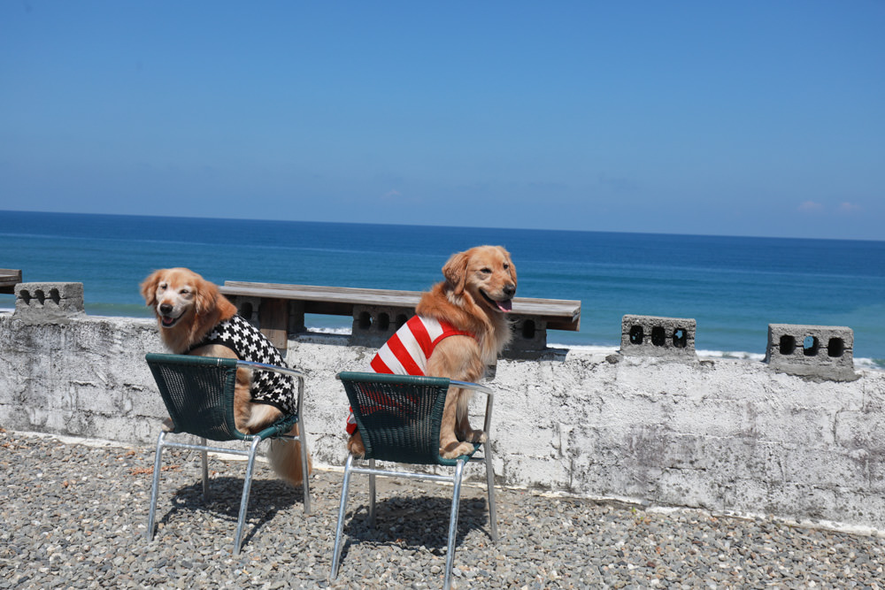 台東長濱｜嘎嘎烏賴賴。寵物友善餐廳、海景咖啡廳、烏石鼻沙灘前的藍白療癒系海邊小屋 ！！！