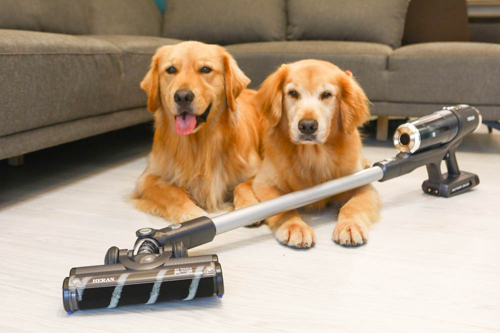 HERAN禾聯智慧感應雙HEPA無線吸塵器 HVC-35EP010｜塵蟎吸頭、超強吸水配件，毛小孩尿尿一吸就清潔乾淨、寵物家庭必備神器！