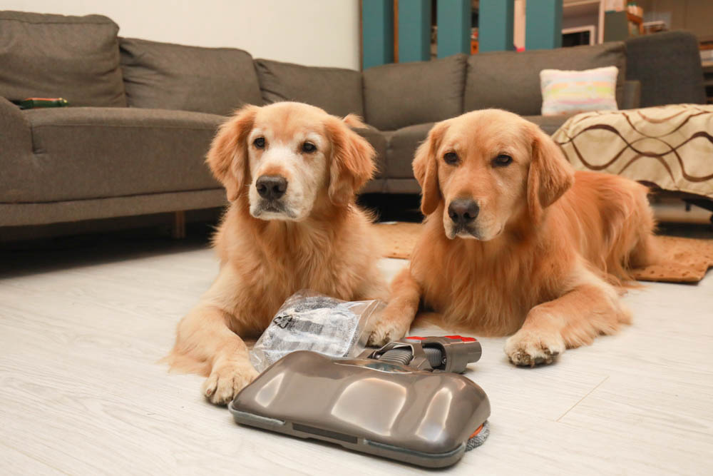 清潔打掃神器｜ANEWPOW AC66/AC71-DYSON吸塵器用UV殺菌電動濕拖刷頭。邊吸地邊拖地、DYSON V6/V8/V10/V11系列適用