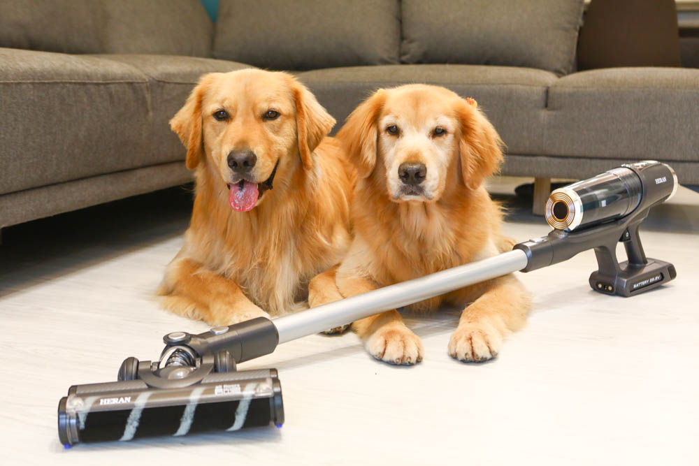 HERAN禾聯智慧感應雙HEPA無線吸塵器 HVC-35EP010｜塵蟎吸頭、超強吸水配件，毛小孩尿尿一吸就清潔乾淨、寵物家庭必備神器！